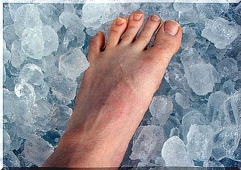 feet in ice cubes 