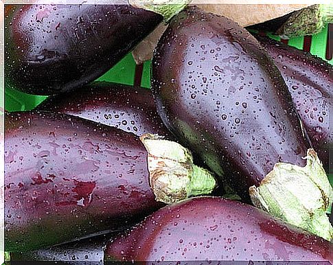 Eggplant juice: a slimming and health ally