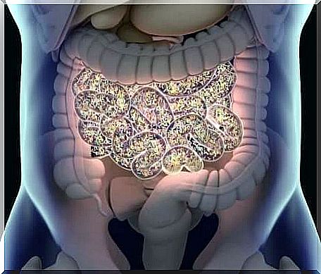 The microbiota.