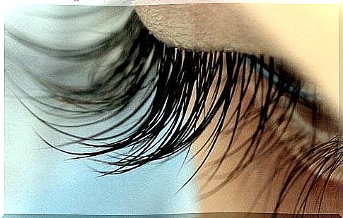 The benefits of castor oil on eyelashes.