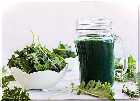 benefits of chlorophyll in the alkaline diet