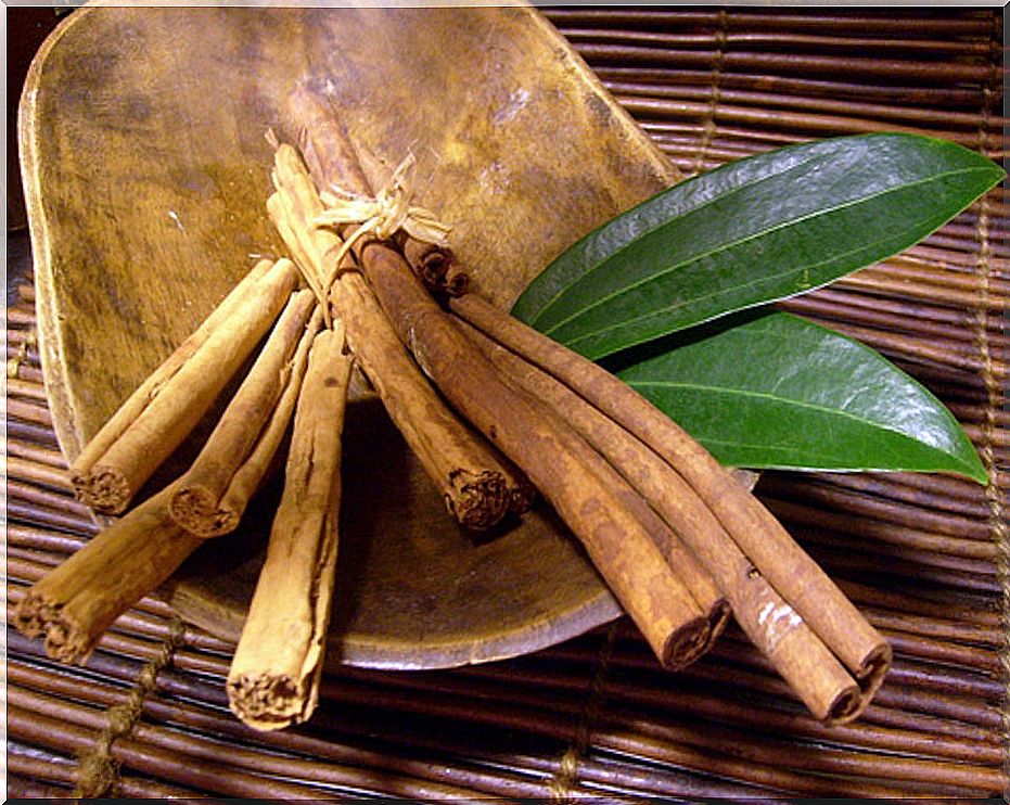 The unknown benefits of cinnamon: for digestion